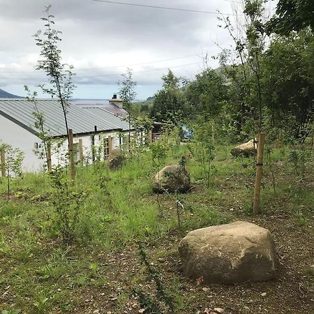 An Bothan-Cosy Cottage In The Cooley Mountains دوندالك المظهر الخارجي الصورة
