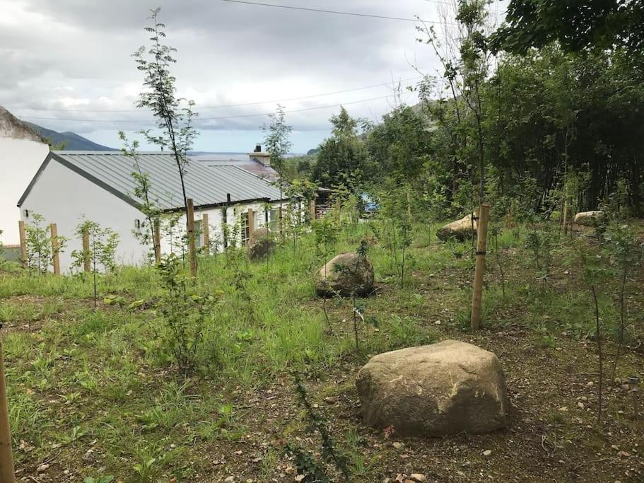 An Bothan-Cosy Cottage In The Cooley Mountains دوندالك المظهر الخارجي الصورة
