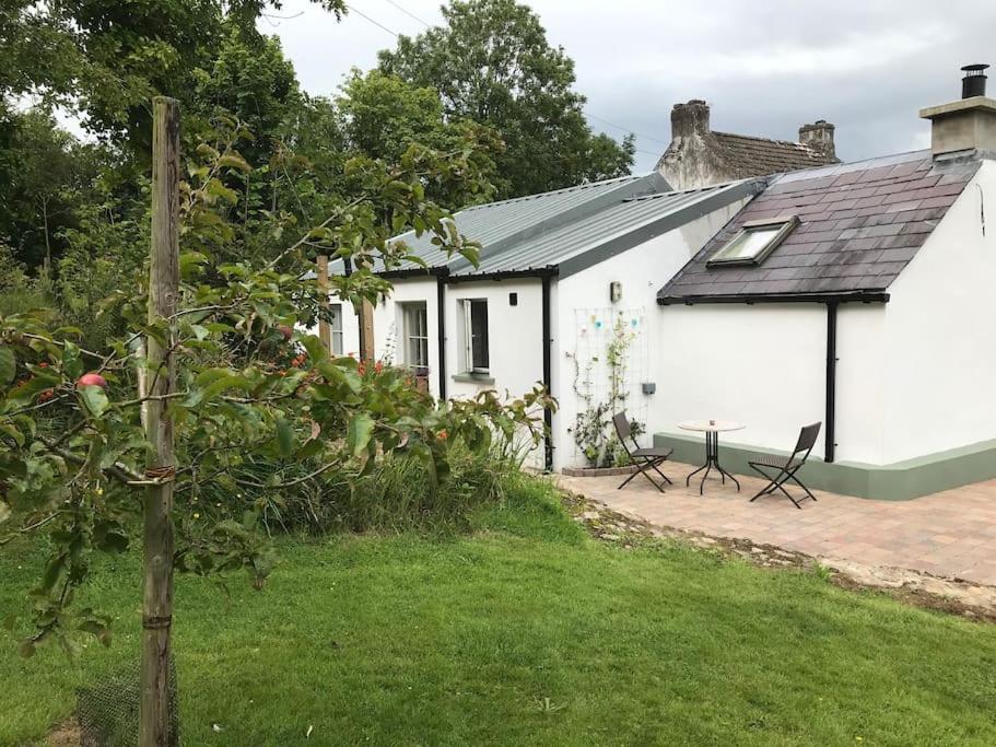 An Bothan-Cosy Cottage In The Cooley Mountains دوندالك المظهر الخارجي الصورة