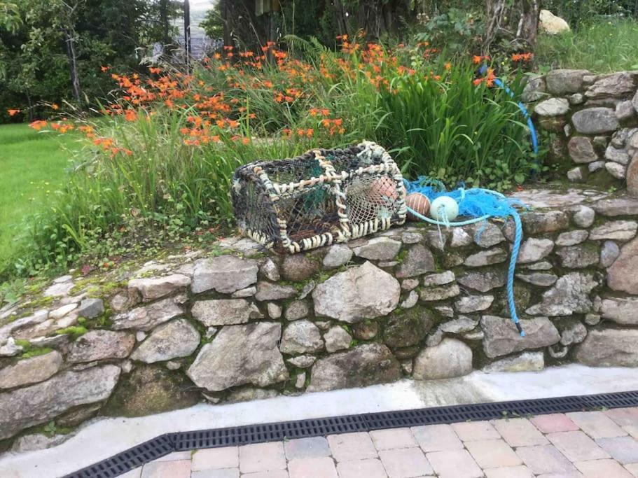 An Bothan-Cosy Cottage In The Cooley Mountains دوندالك المظهر الخارجي الصورة