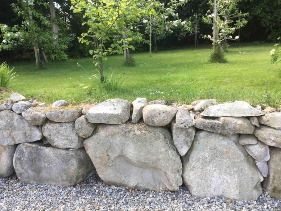 An Bothan-Cosy Cottage In The Cooley Mountains دوندالك المظهر الخارجي الصورة