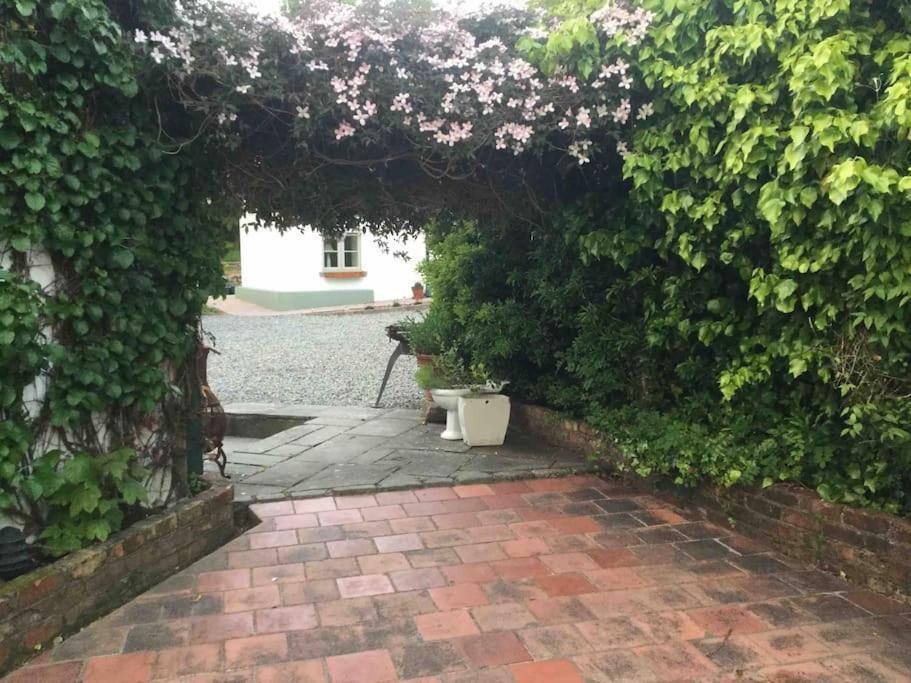 An Bothan-Cosy Cottage In The Cooley Mountains دوندالك المظهر الخارجي الصورة