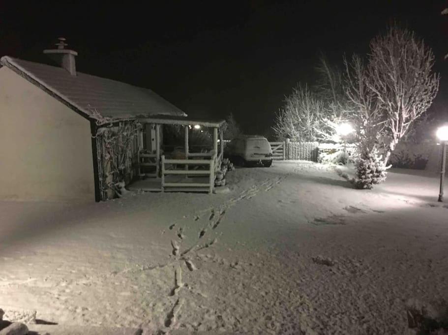 An Bothan-Cosy Cottage In The Cooley Mountains دوندالك المظهر الخارجي الصورة
